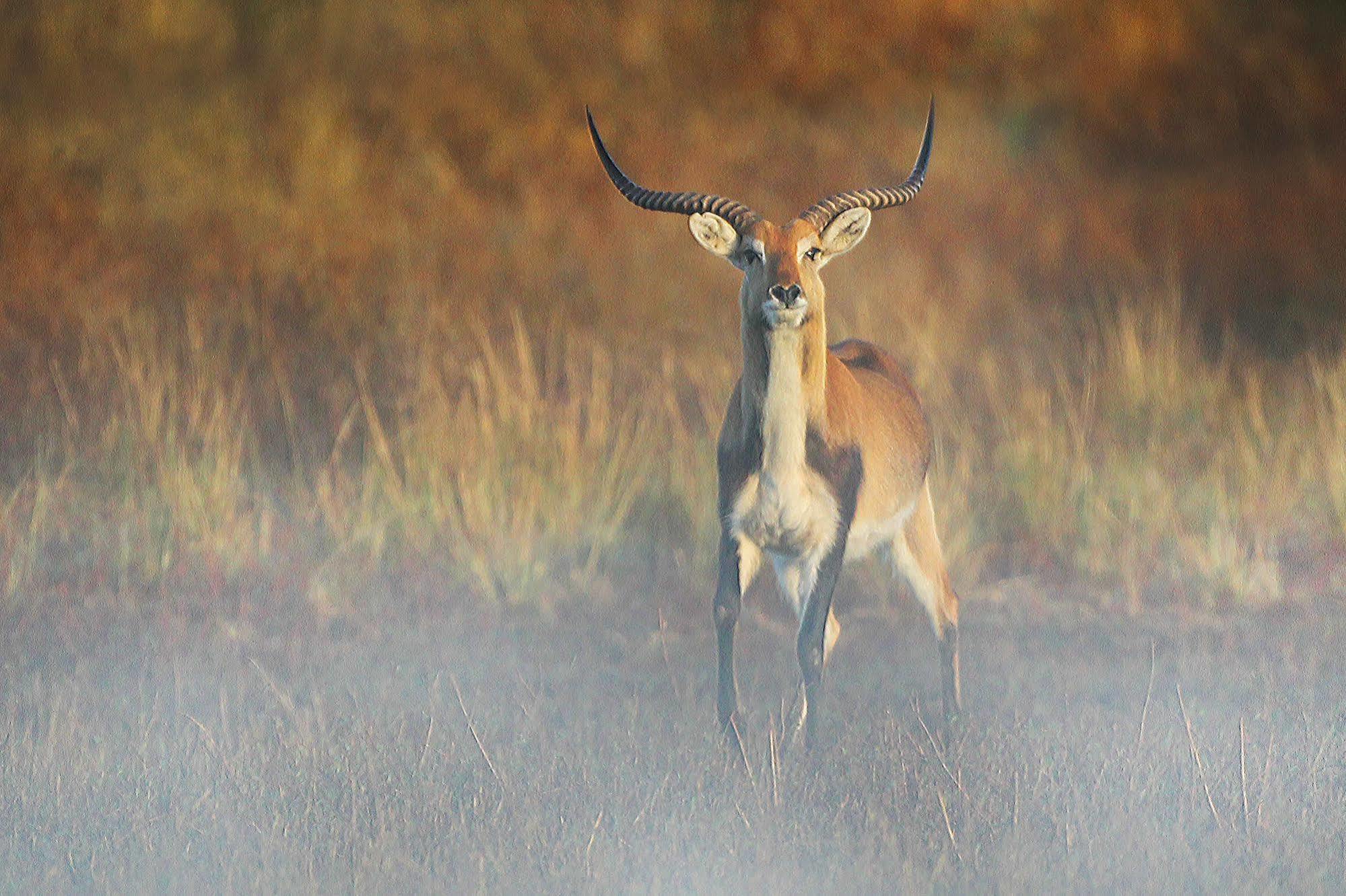 Bona Bona Game Lodge Wolmaranstad 外观 照片
