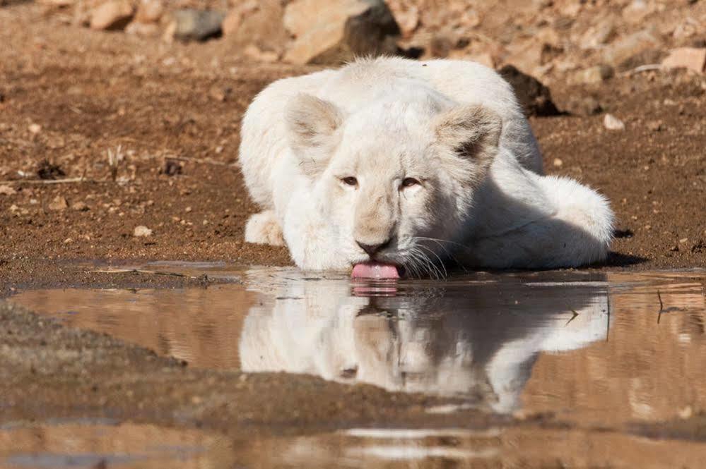 Bona Bona Game Lodge Wolmaranstad 外观 照片