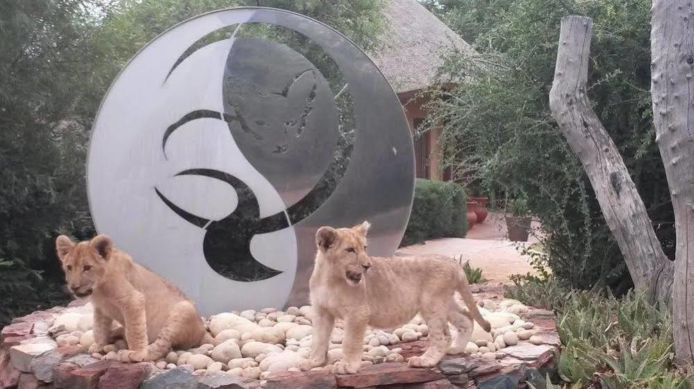 Bona Bona Game Lodge Wolmaranstad 外观 照片